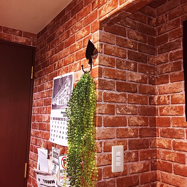 k55さんの実例写真