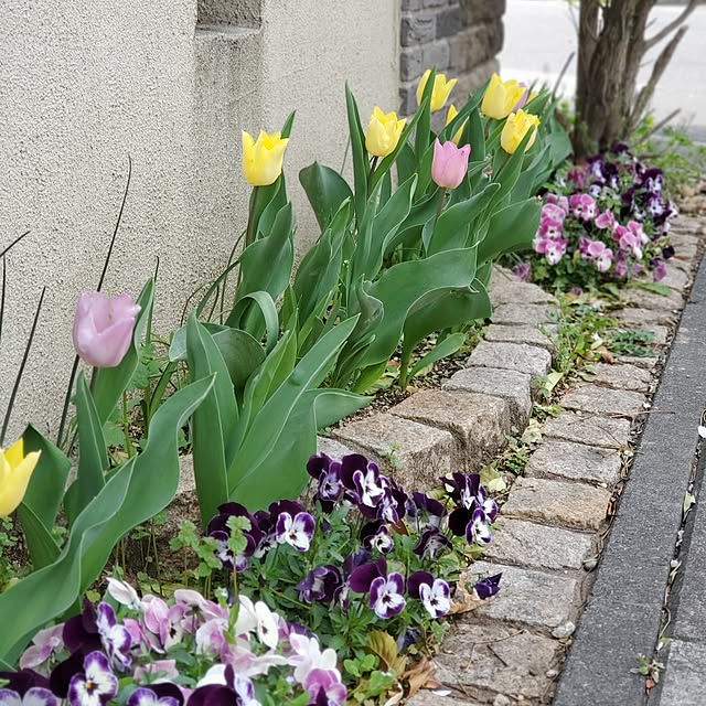 MARIE.color.interiorさんの実例写真