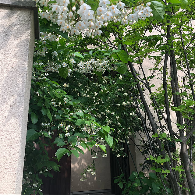 nanaさんの実例写真