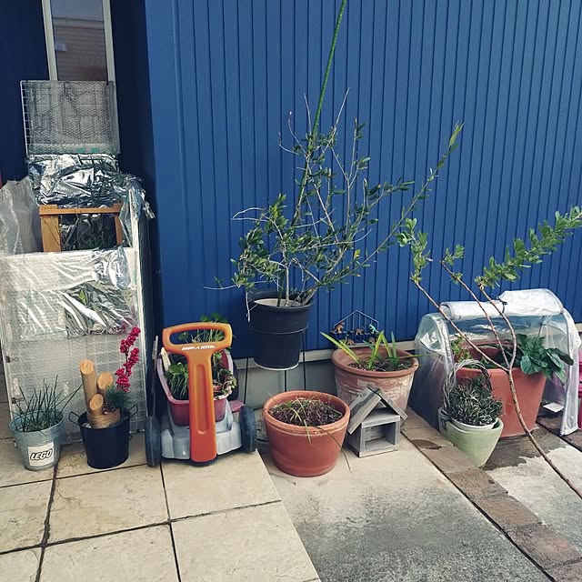 urchinさんの部屋