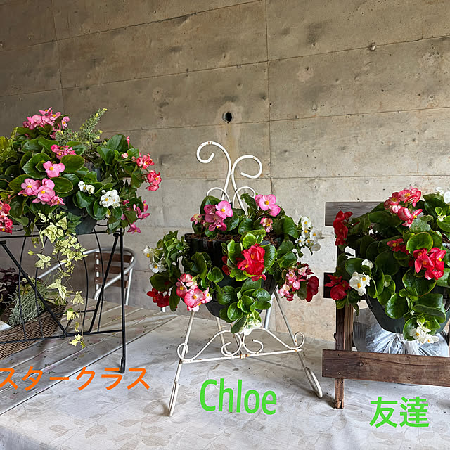 chIoeさんの部屋