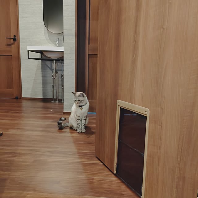 Atelier_tamakiさんの部屋