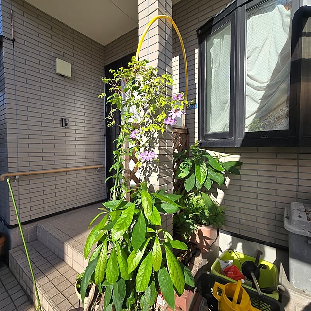 mitsuyama3136さんの実例写真