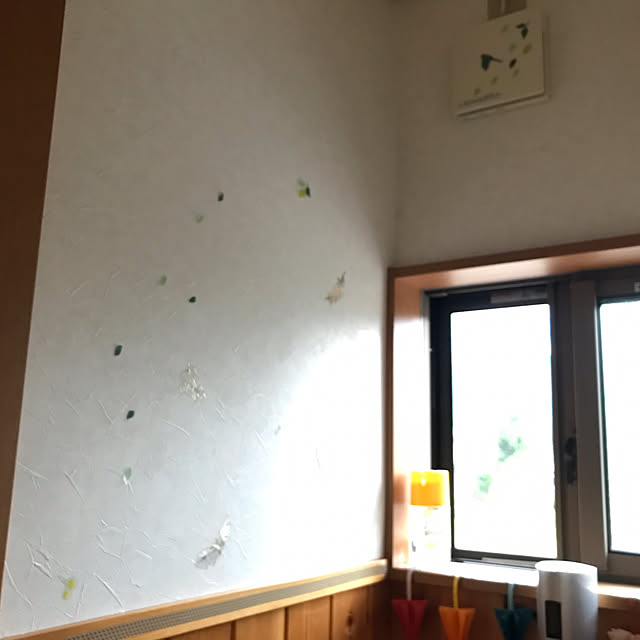 aoinokimiさんの部屋