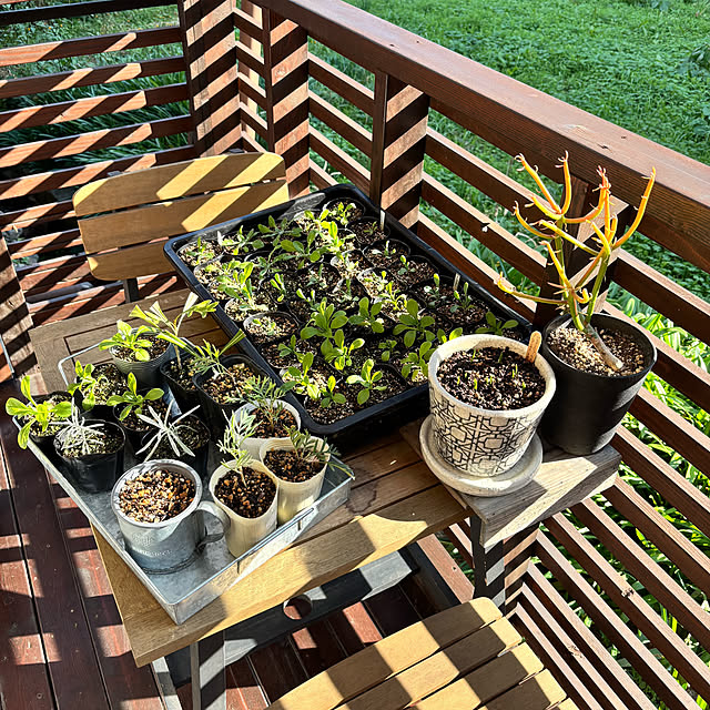 kyoko1124koさんの部屋