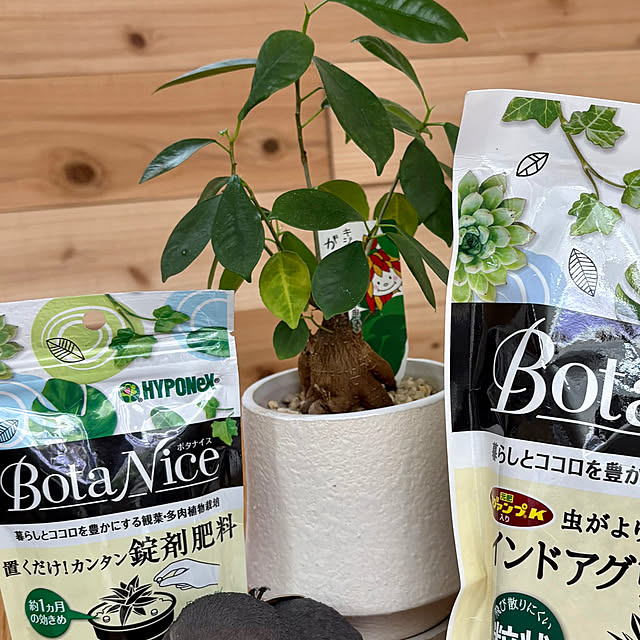 CoffeeHouseさんの部屋