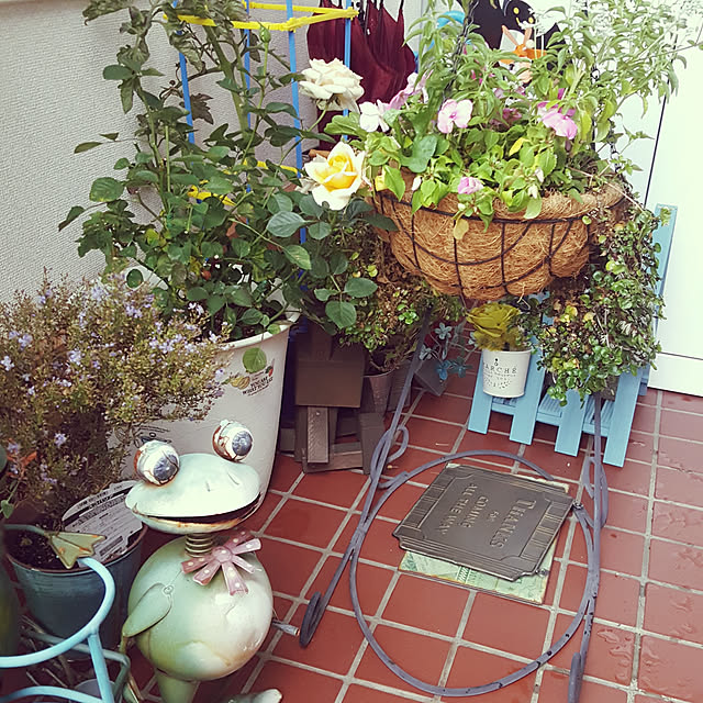 usakoさんの実例写真