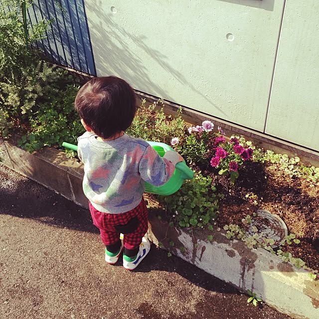 yuraaiさんの実例写真