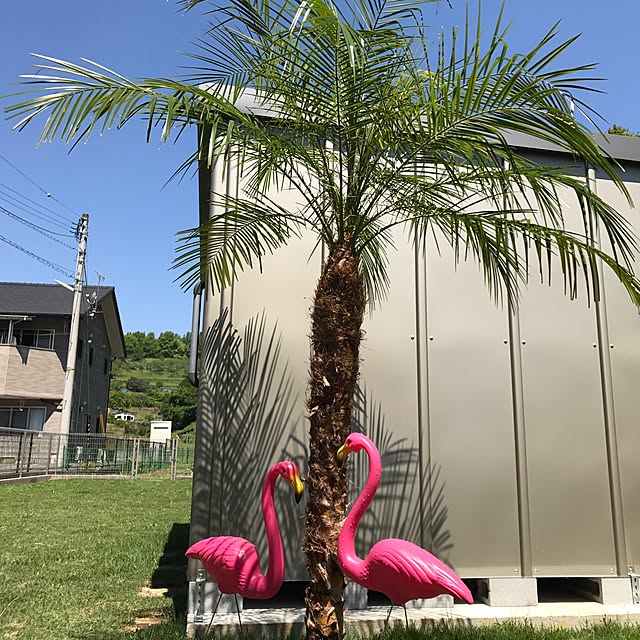 palmbeach510さんの実例写真
