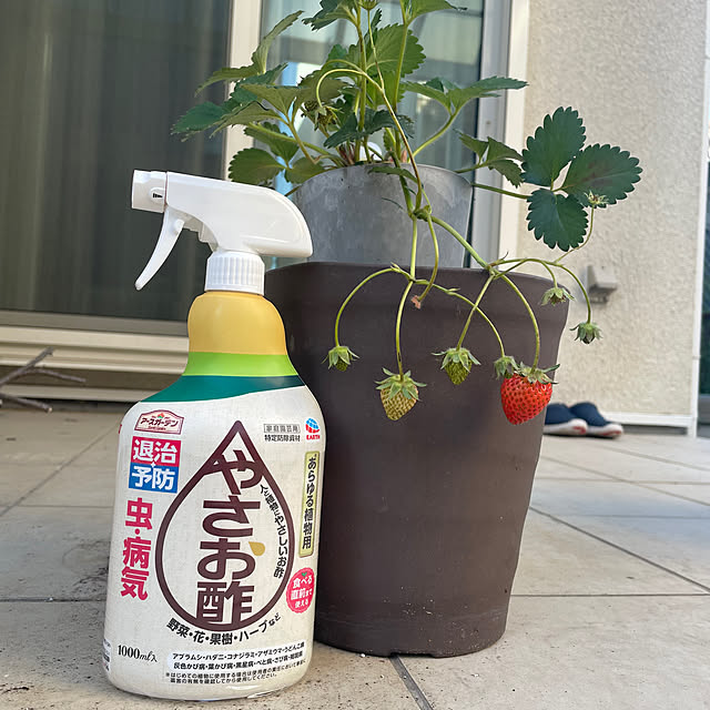 cheeさんの実例写真