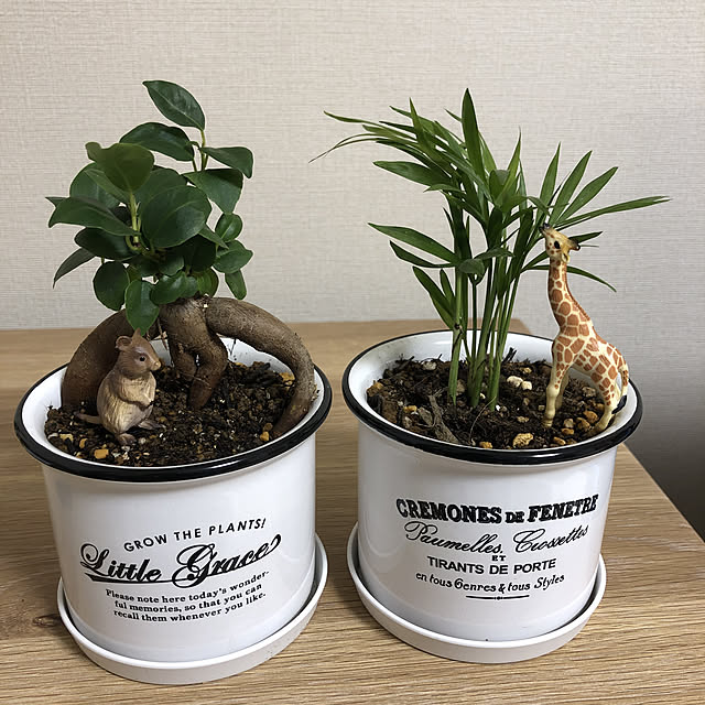 q.o.pさんの実例写真