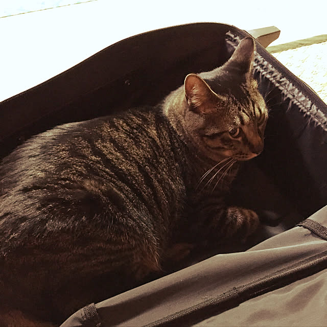 hidemasaさんの実例写真