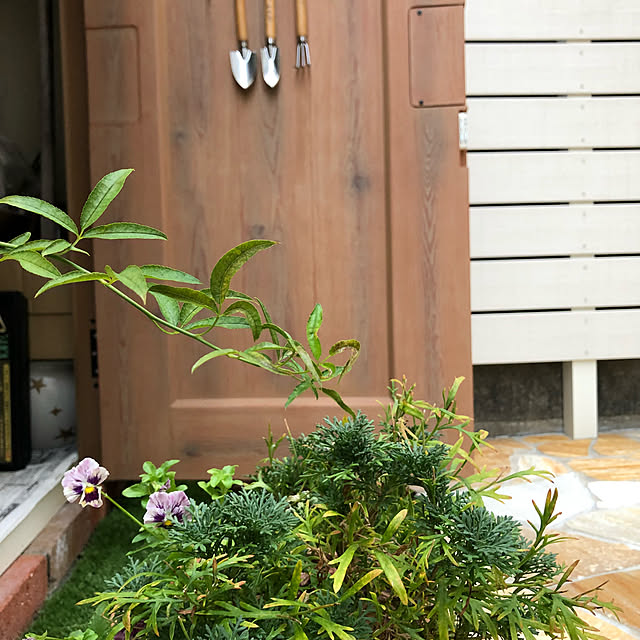 kuraさんの実例写真