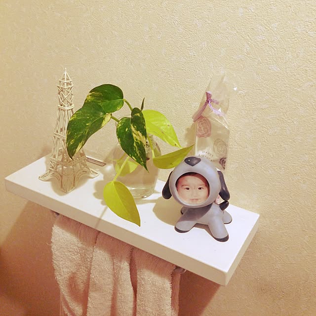 chiekawa63さんの実例写真