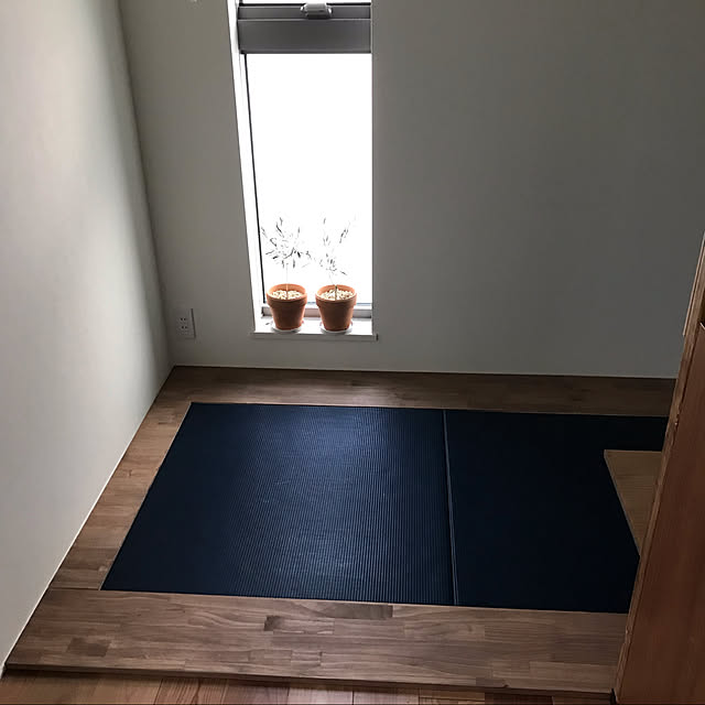 fujiyanさんの実例写真