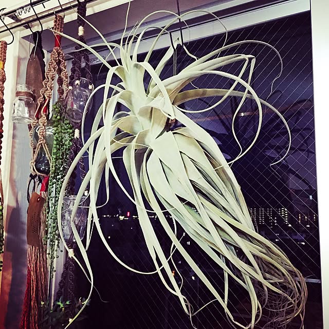 405.mさんの実例写真