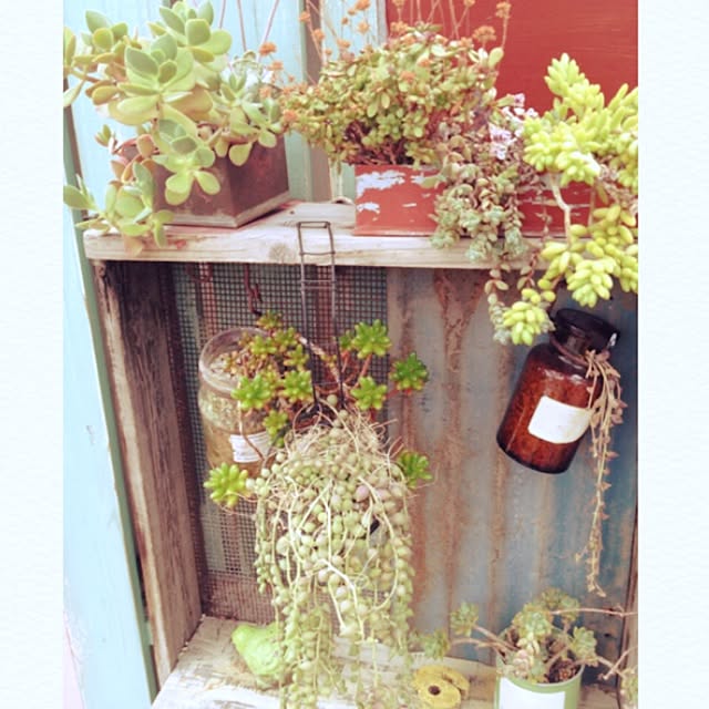 minaさんの実例写真