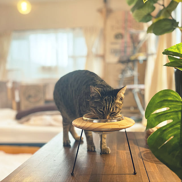 Mさんの実例写真