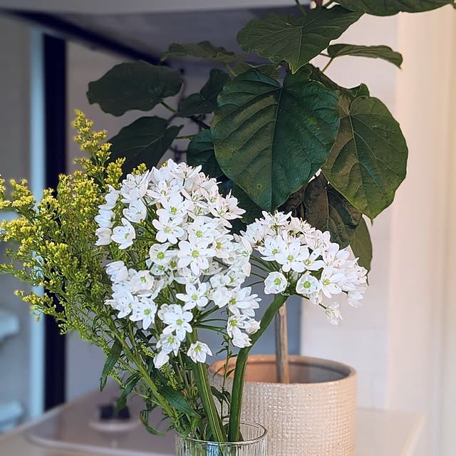 kumijiさんの部屋