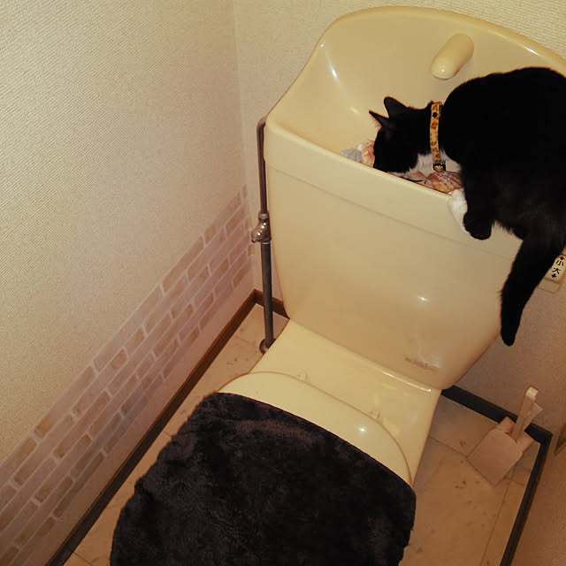 バス/トイレのインテリア実例 - 2017-12-12 18:45:18