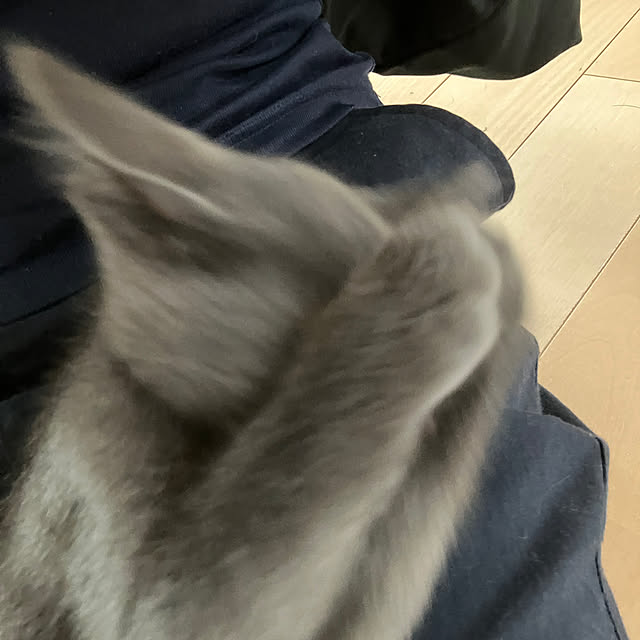 nekoさんの実例写真
