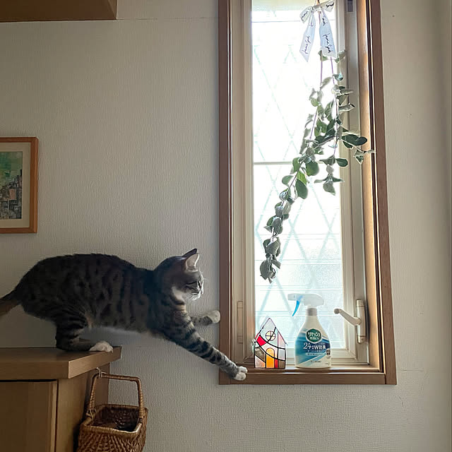 nobikoさんの実例写真