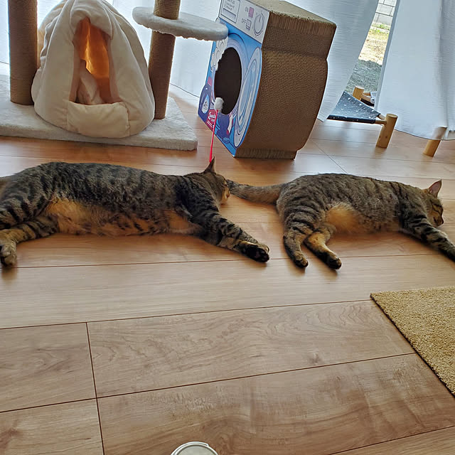 nonchanさんの実例写真