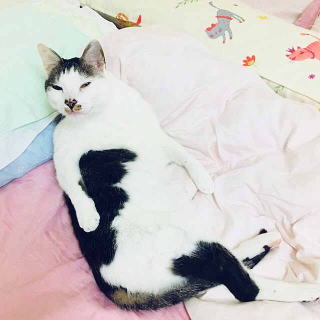 pcu110さんの実例写真