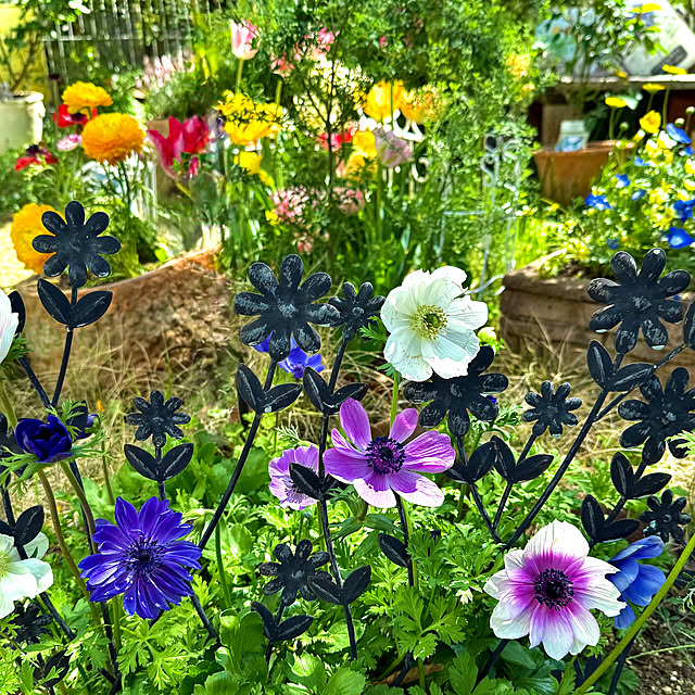 kaochanさんの部屋