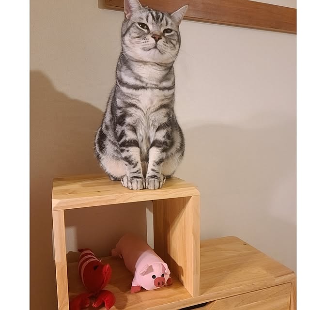 lovepeaceさんの部屋