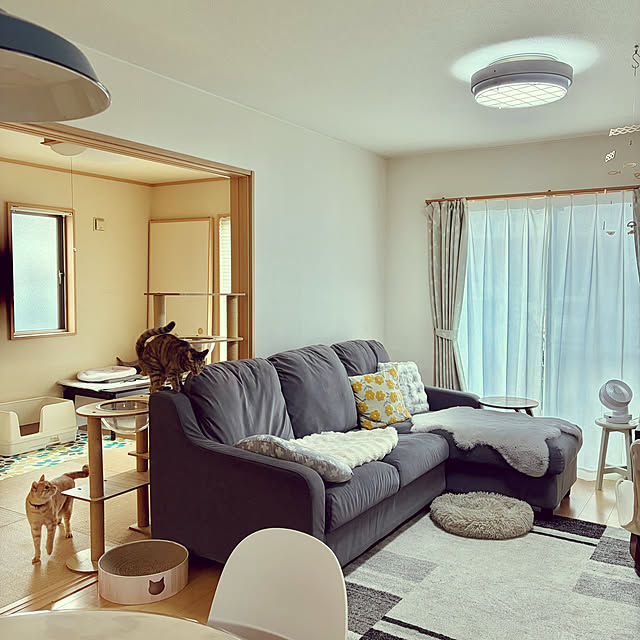 chiiさんのお部屋の写真