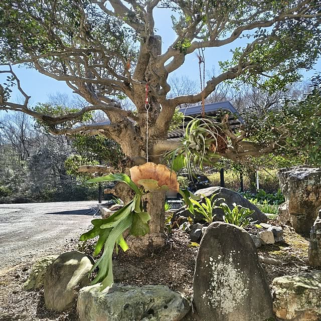 Rubiconさんの実例写真