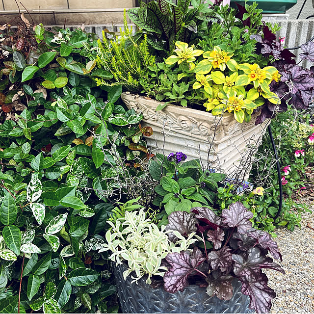 yukarin-gardenさんの部屋
