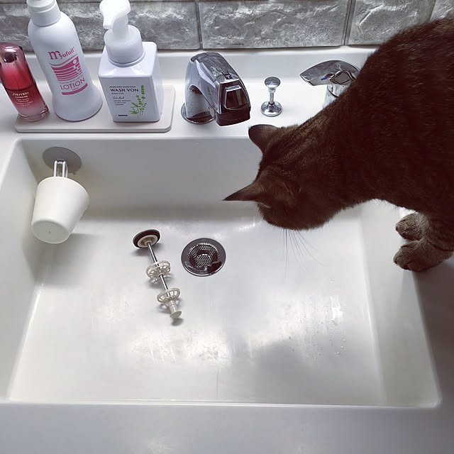 mikomaruさんの実例写真