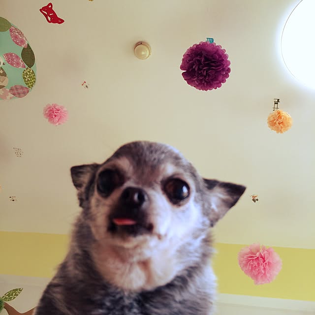 tubutanさんの実例写真