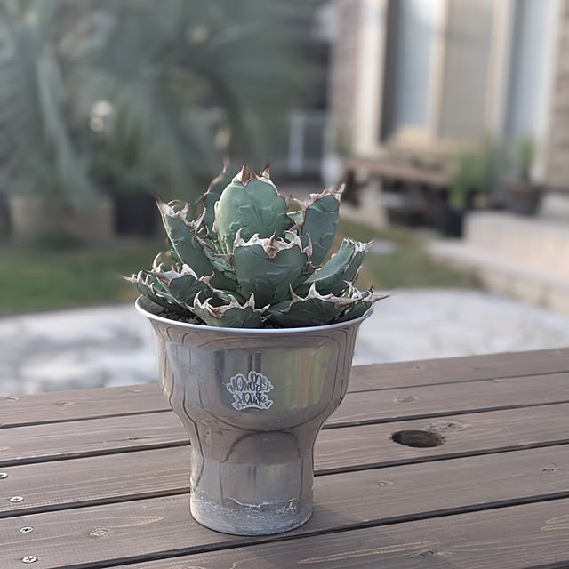 ot-gardenさんの部屋