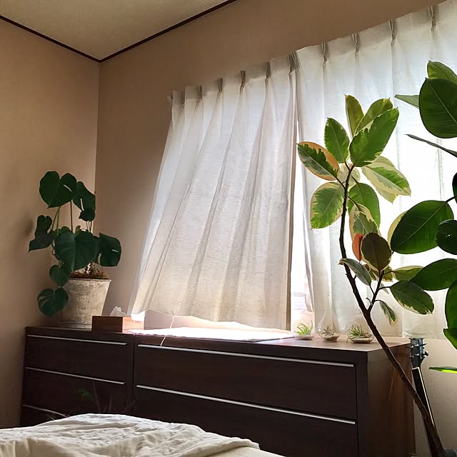 acchanさんの実例写真