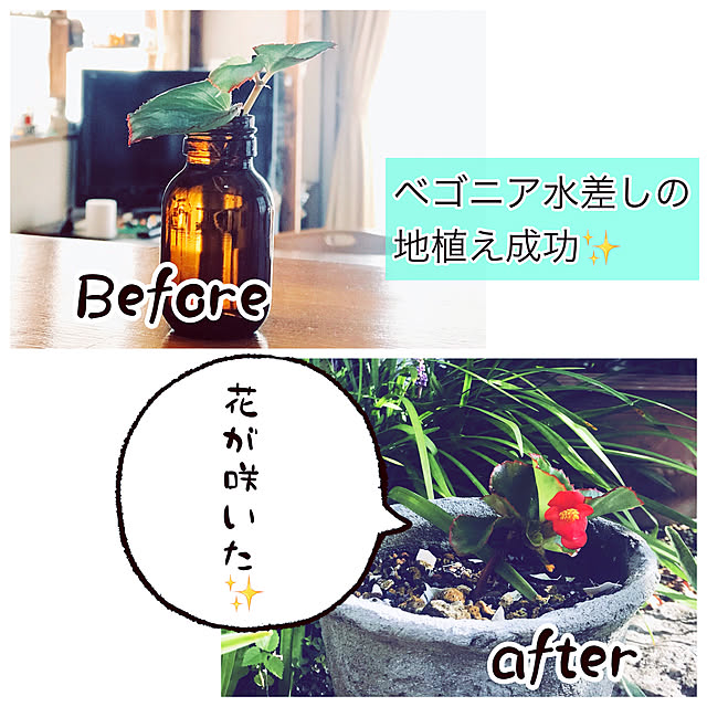 maroさんの実例写真