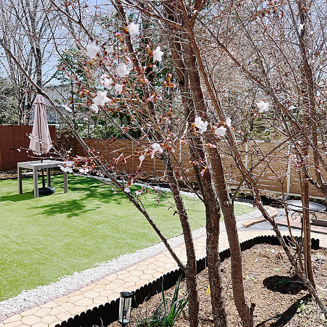 chanduさんの部屋