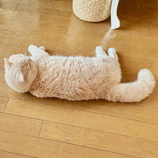 naokoさんの部屋