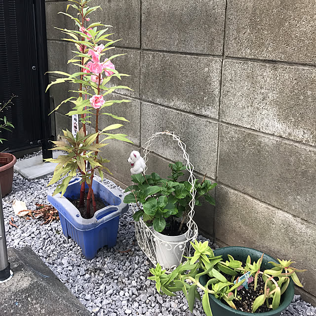 EMIKOさんの実例写真