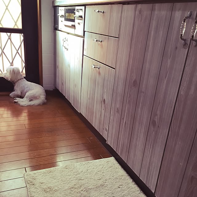 pero1pan5さんの実例写真