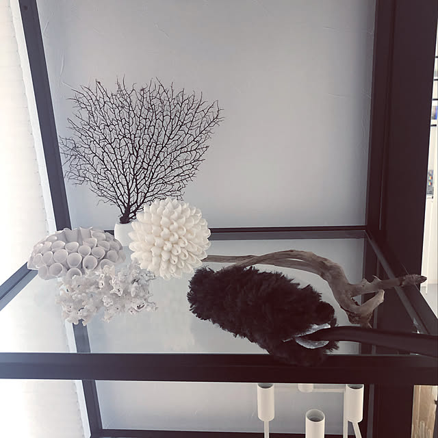 a.organizeさんの実例写真