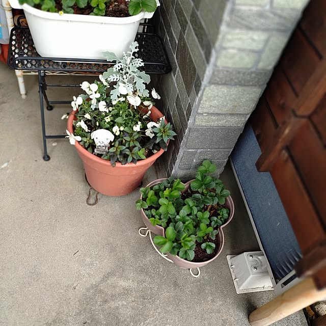 ameamekaasanさんの部屋