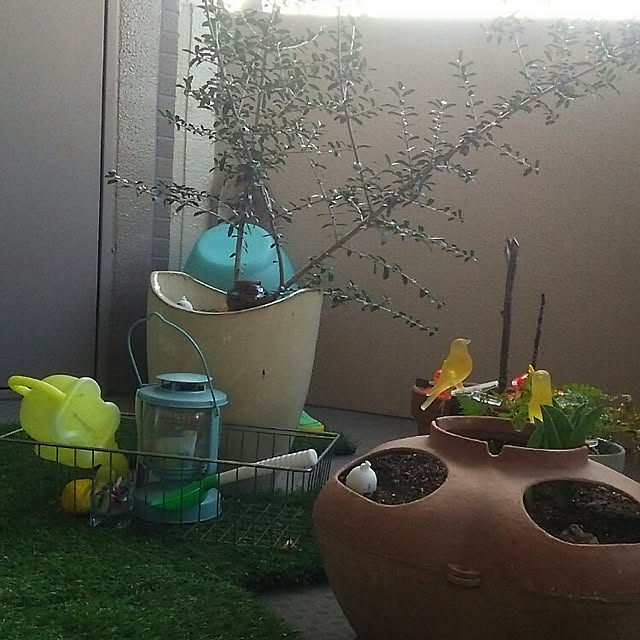 hohoさんの実例写真