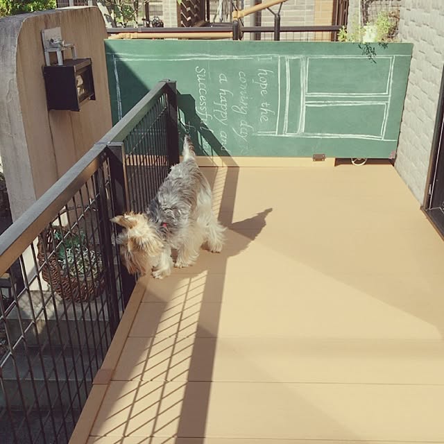 mayuoさんの実例写真