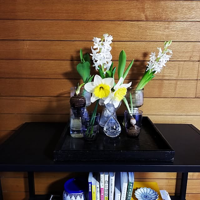 Lucyさんの部屋