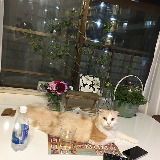 mofuchiさんの実例写真