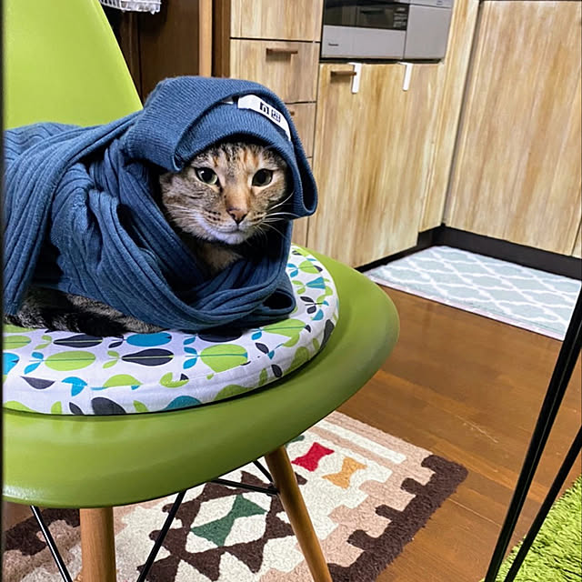mohhaさんの実例写真