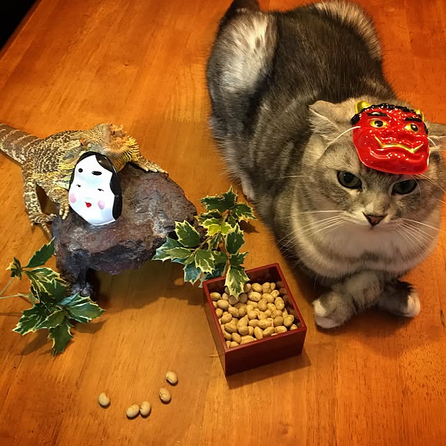 Kumiko_nyanさんの実例写真